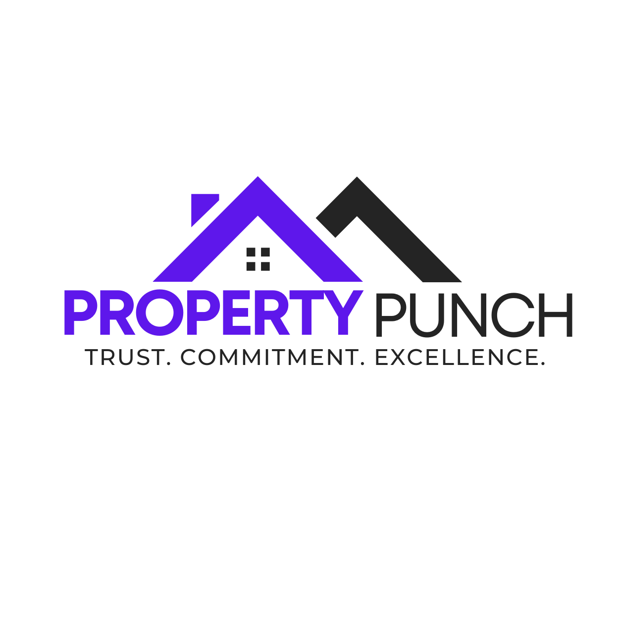 Add property property punch